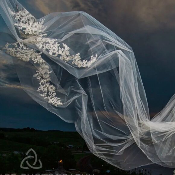 Vera Wang Cathedral Wedding Veil + Blusher -Ivory - Picture 1 of 10